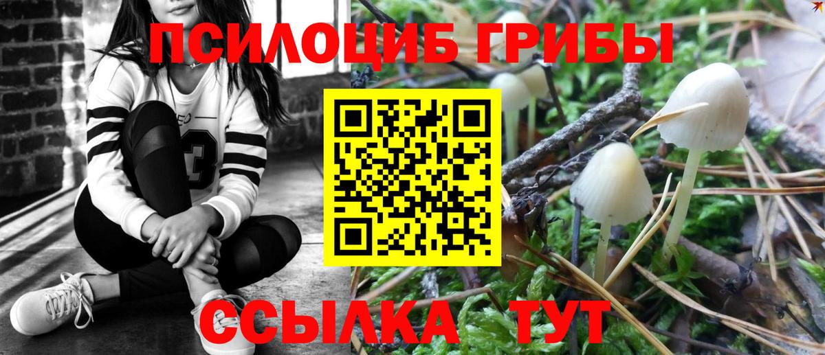 Псилоцибиновые грибы Magic Shrooms  Вход с VPN  Бор  Псилоцибиновые грибы Psilocybe 